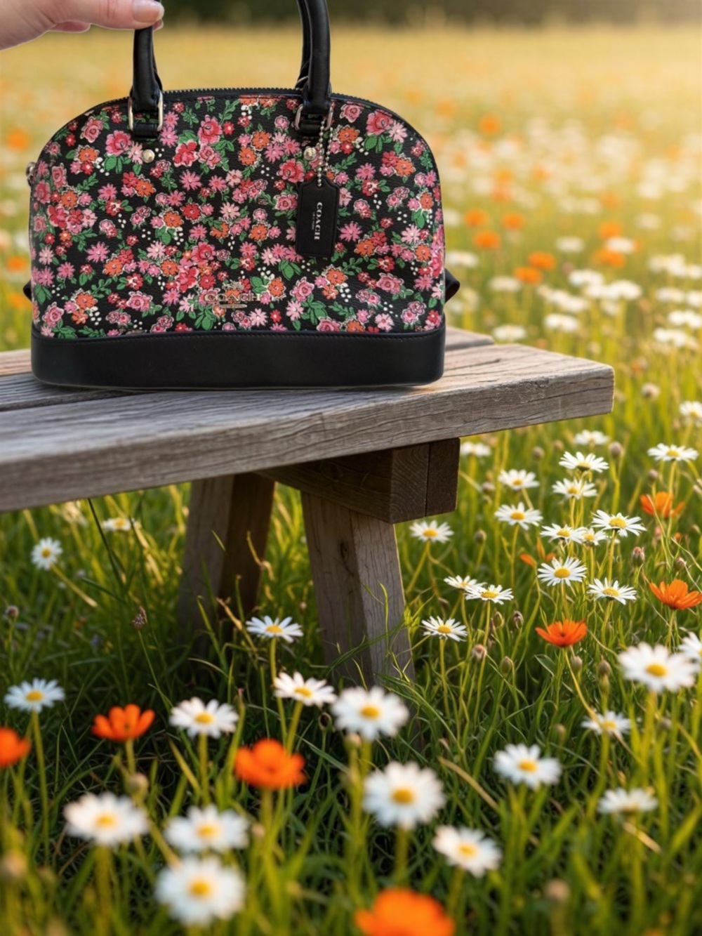 Coach Sierra Satchel featuring the Posey Cluster Floral Print